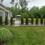 A back yard showing lush green grass, bushes, plants, and trees.